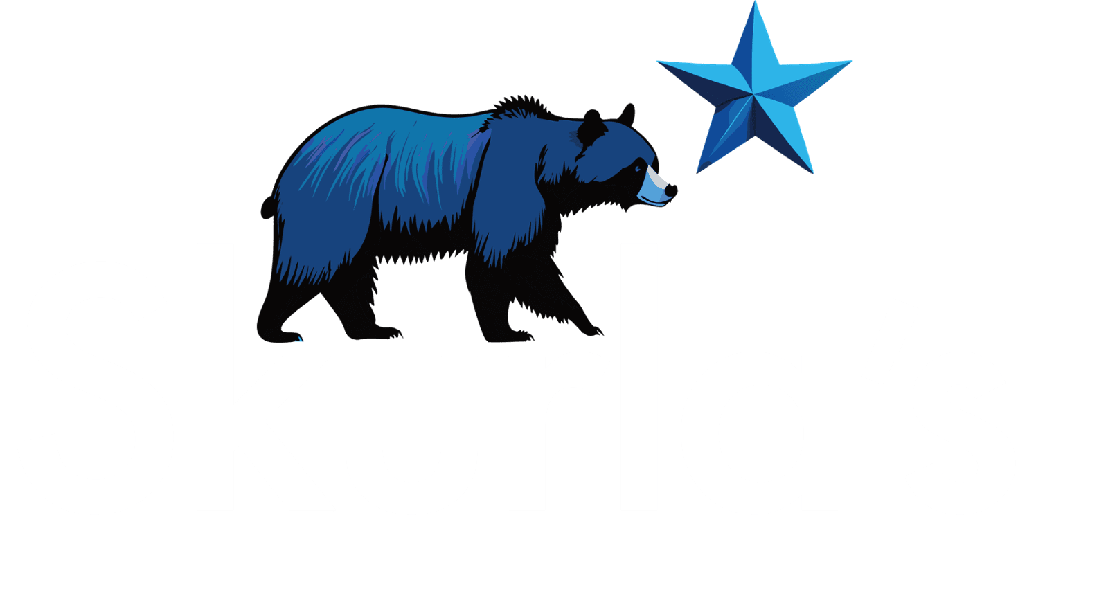 Skurla's POS Solutions